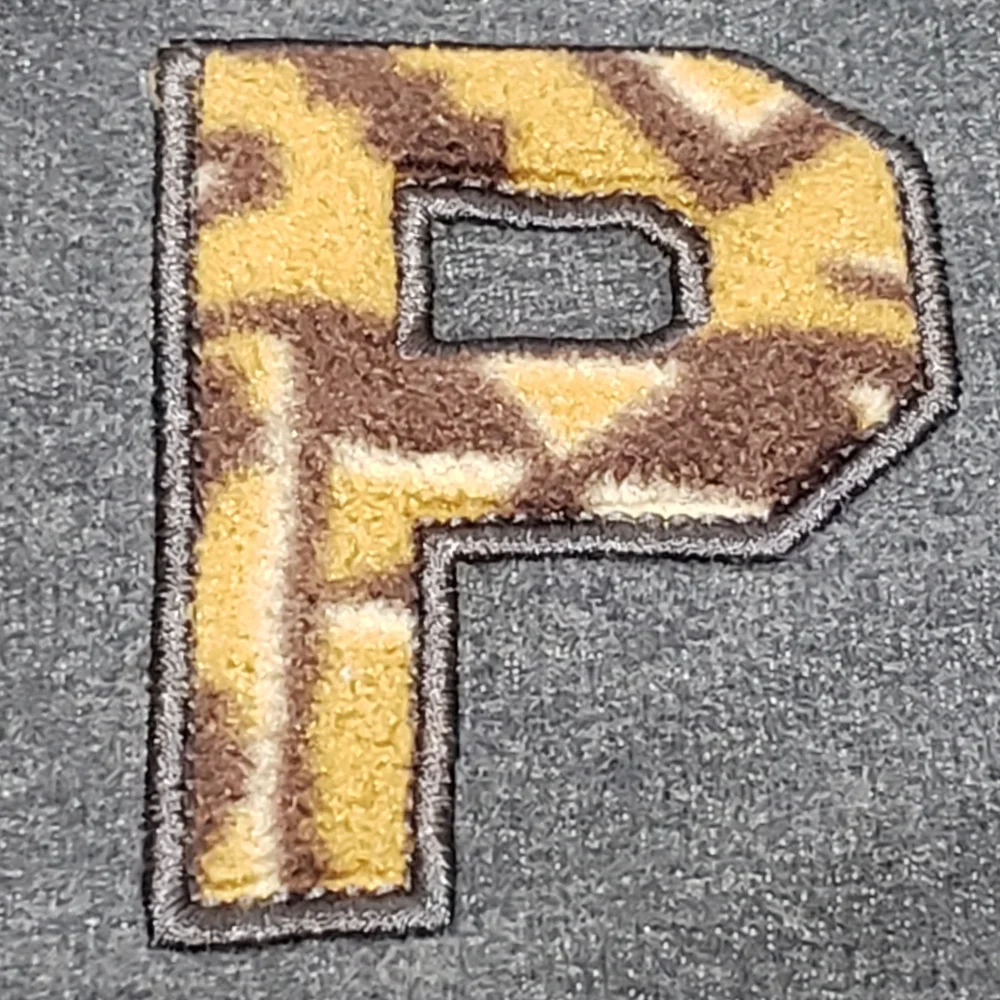 Patagonia Sz XS Letter 'P' Full Zip Hoodie